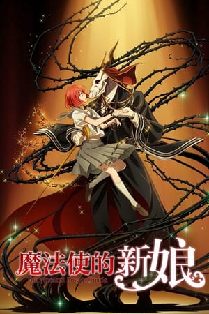 魔法使的新娘