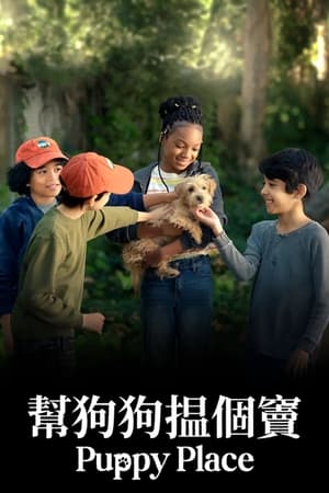 小狗之家