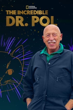 动物神医第20季