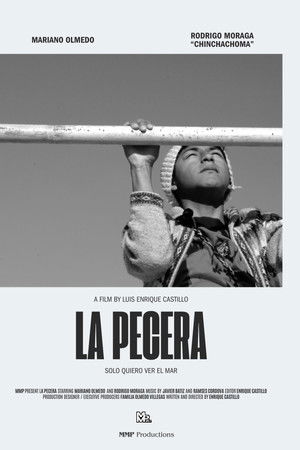 La Pecera