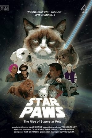 Star Paws: The Rise of Superstar Pets
