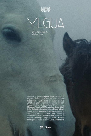 Yegua