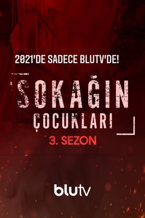 Sokağın Çocukları第3季