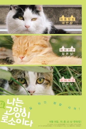 나는 고양이로소이다