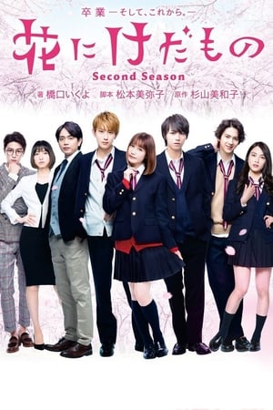 花予野兽第2季