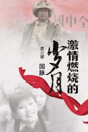 激情燃烧的岁月激情燃烧的岁月3
