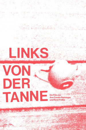 Links von der Tanne