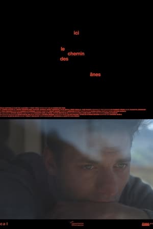 Ici le chemin des ânes