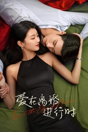 爱在离婚进行时