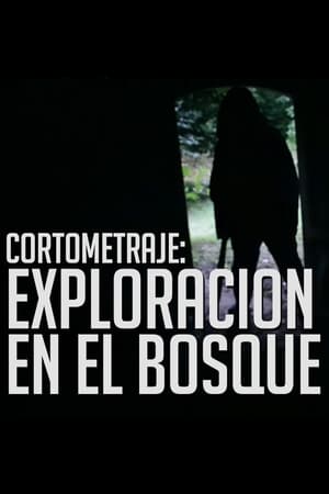 Trágica exploración en el Bosque