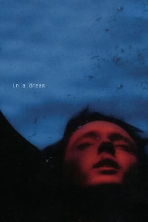In A Dream EP Live