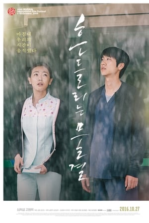 흔들리는 물결