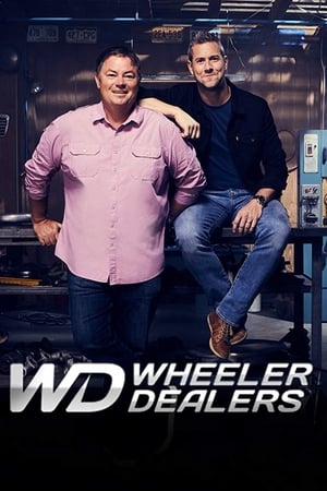 Wheeler Dealers第17季