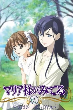圣母在上OVA 圣母在上 3rd Season