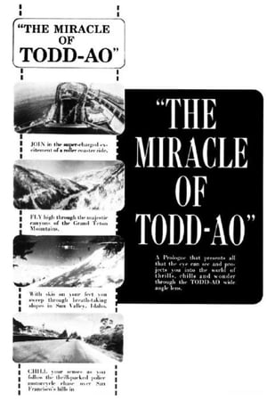 The Miracle of Todd-AO