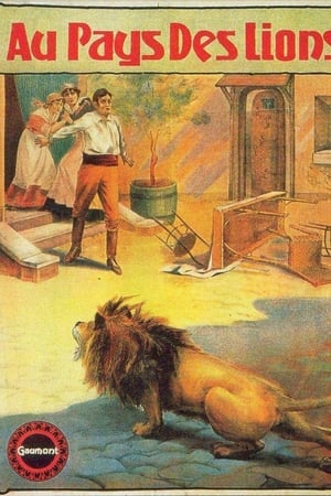 Au pays des lions