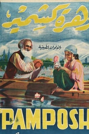 Pamposh