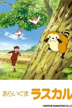 浣熊拉斯卡尔