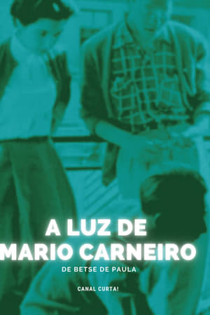 A Luz de Mario Carneiro