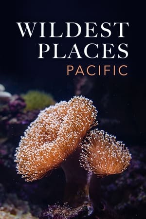 最荒凉的地方第2季