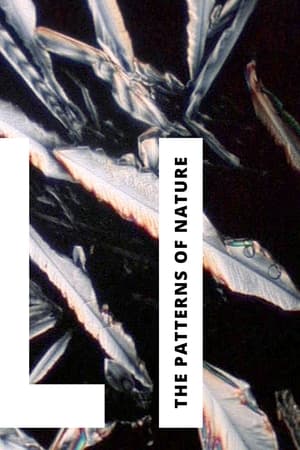 Li: The Patterns of Nature