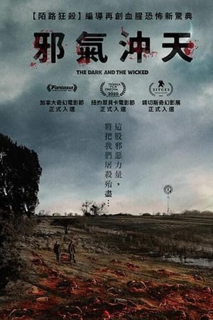 黑暗与邪恶