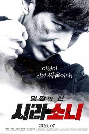 맞짱의 신: 시라소니