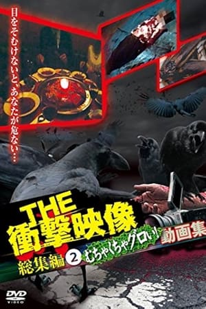 THE 衝撃映像 総集編(2) むちゃくちゃグロい! 動画集