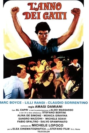 L'anno dei gatti