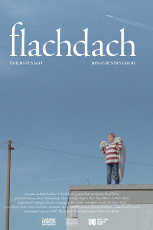 Flachdach