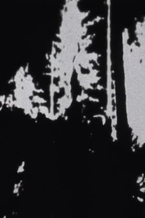 Treefall