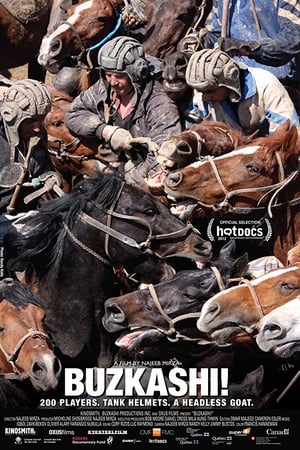 Buzkashi!