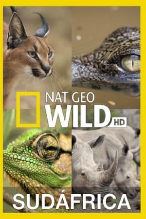 Wild South Africa