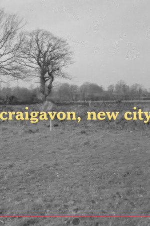 Craigavon, new city