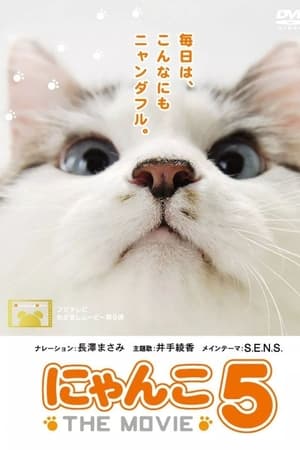 猫咪物语5