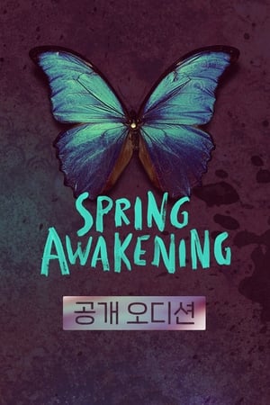 [스프링 어웨이크닝]