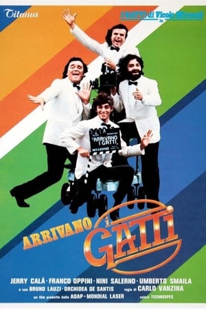 Arrivano i gatti