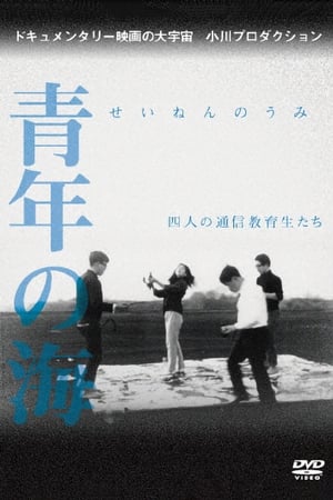 青年之海 四名函授大学生