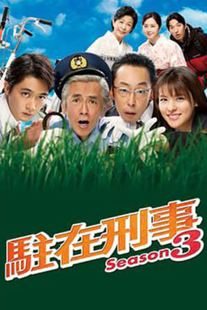 驻在刑警第3季
