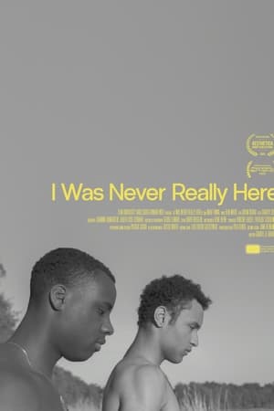 I Was Never Really Here
