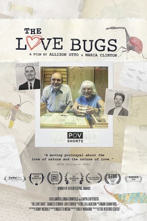The Love Bugs