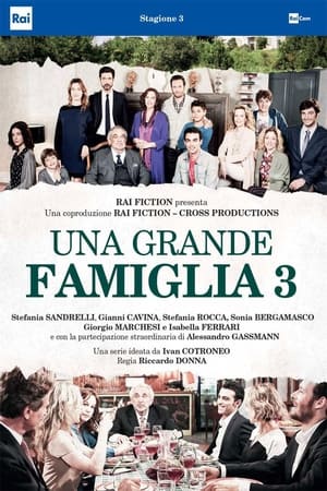 Una grande famiglia第3季