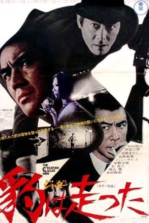 豹跑
