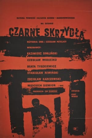Czarne skrzydła
