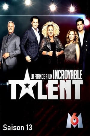 La France a un incroyable Talent第13季