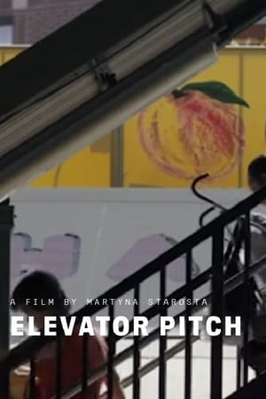 Elevator Pitch