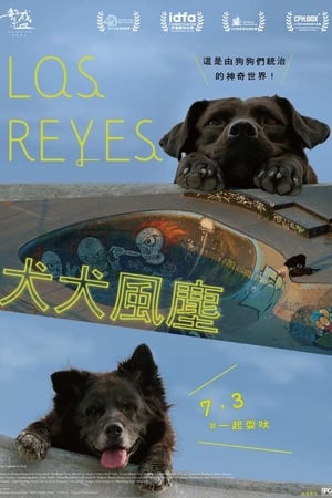 犬犬风尘