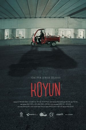 Koyun