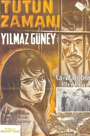 Tütün Zamanı