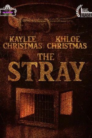 The Stray